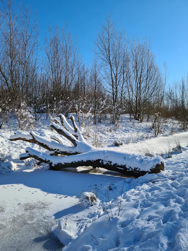 Winterweer in Park Lingezegen: een terugblik