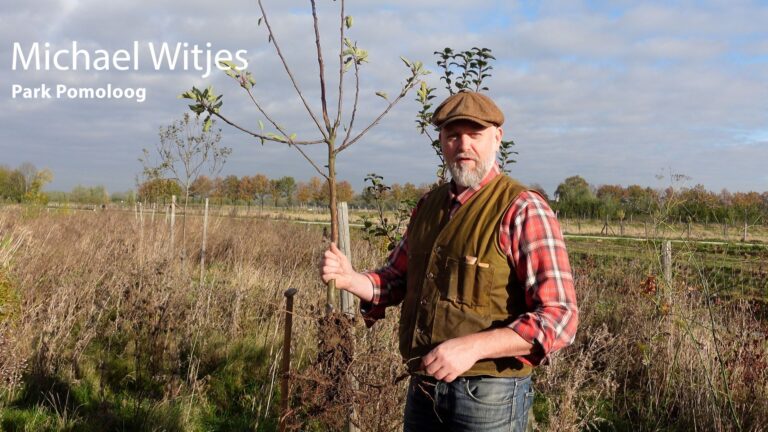 Online cursus over aanplant van fruitbomen met Park Pomoloog Michael Witjes & Boomkwekerij De Batterijen!