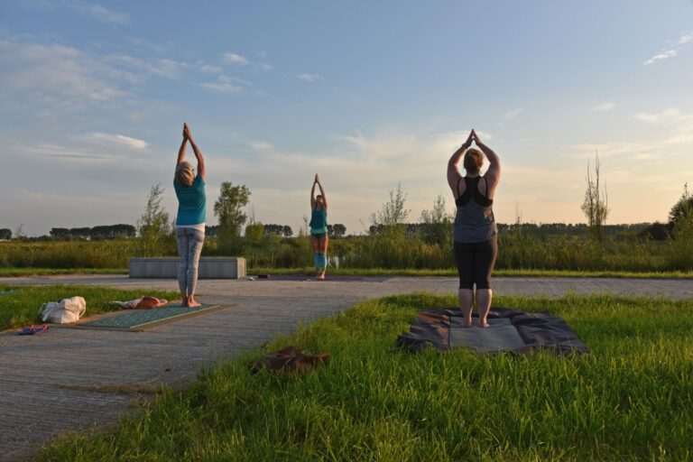 Yoga-Experience Park Lingezegen – Water Idylle